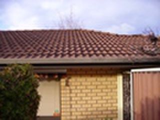 Roof Tilers