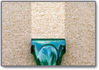 Carpet Cleaning