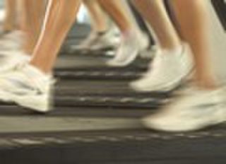 Gyms & Health Clubs