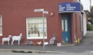 North Hobart Vetenary Clinic