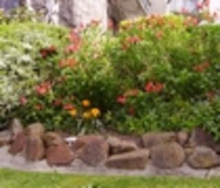 R & D Garden Service (Moonah)