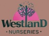 Westland Nurseries (Advanced Tree Nursery)