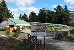 Panorama Wines