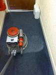 Tasmanian Carpet Cleaning