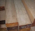 Torenius Timber