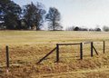 Andrew McDermott Rural Fencing (Sandford)