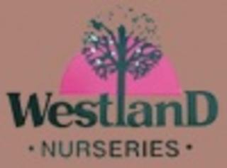 Westland Nurseries (Advanced Tree Nursery)