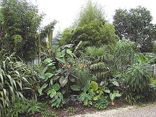Garden Centres
