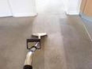 Careful Carpet Cleaning